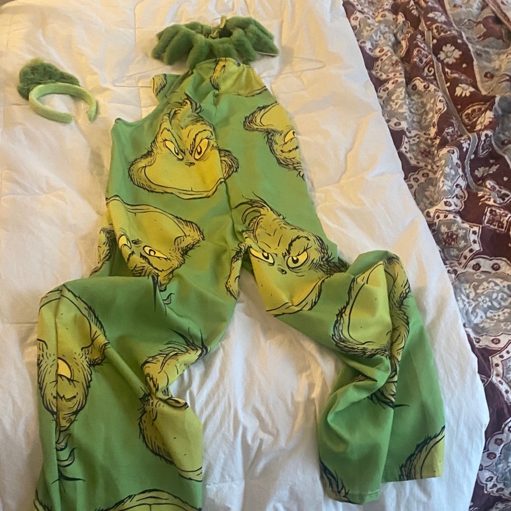 Green Grinch-Themed Women's Costume